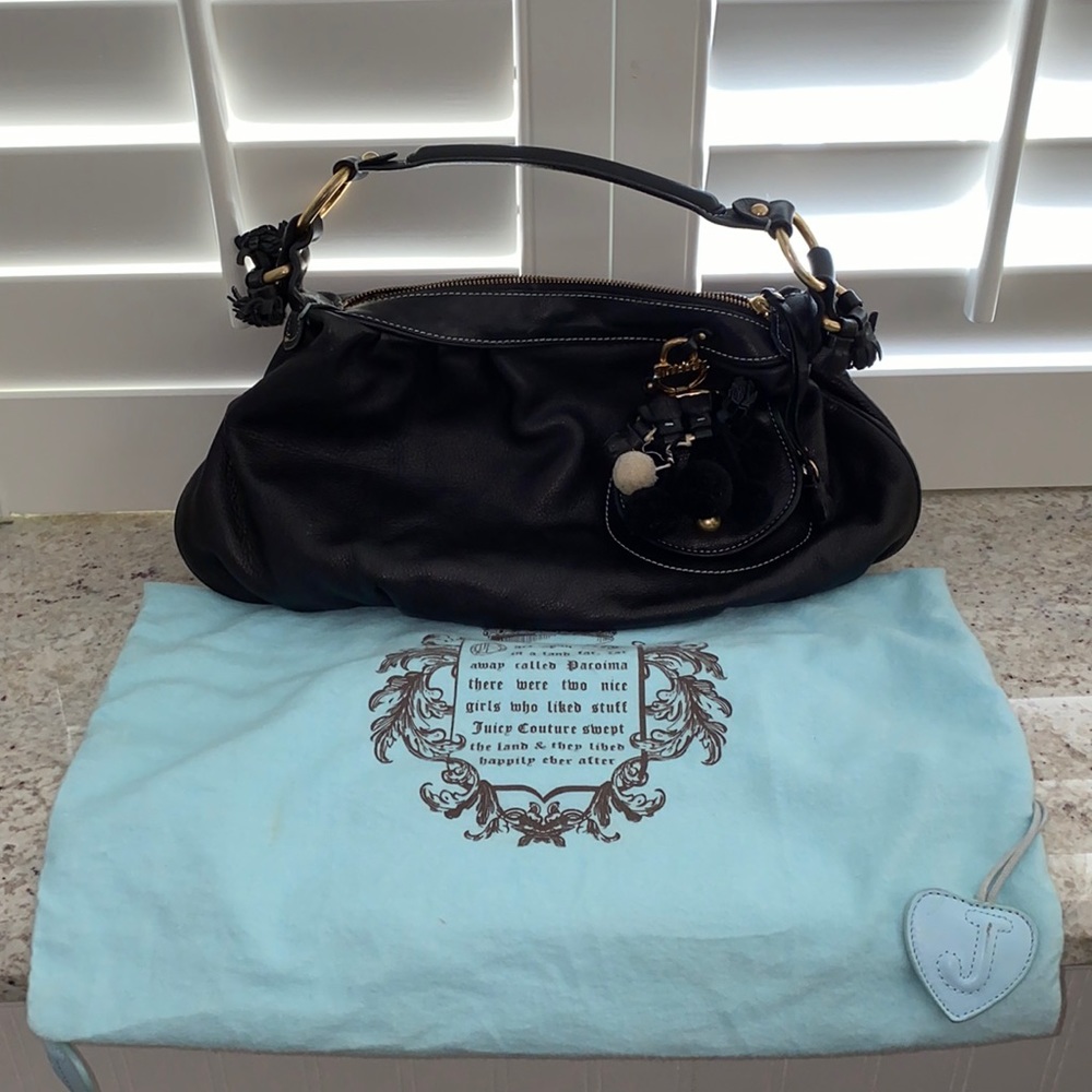 Juicy Couture Purse